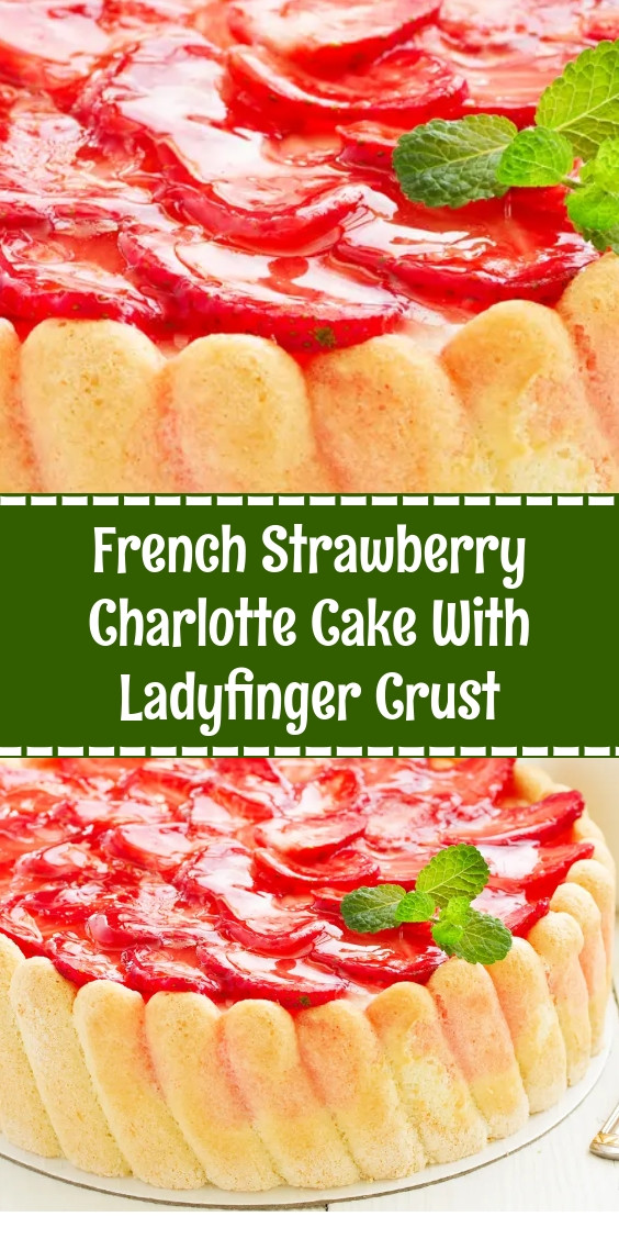 French Strawberry Charlotte Cake With Ladyfinger Crust