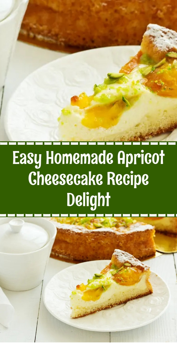 Easy Homemade Apricot Cheesecake Recipe Delight