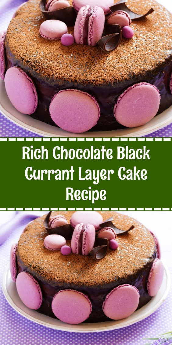 Rich Chocolate Black Currant Layer Cake Recipe