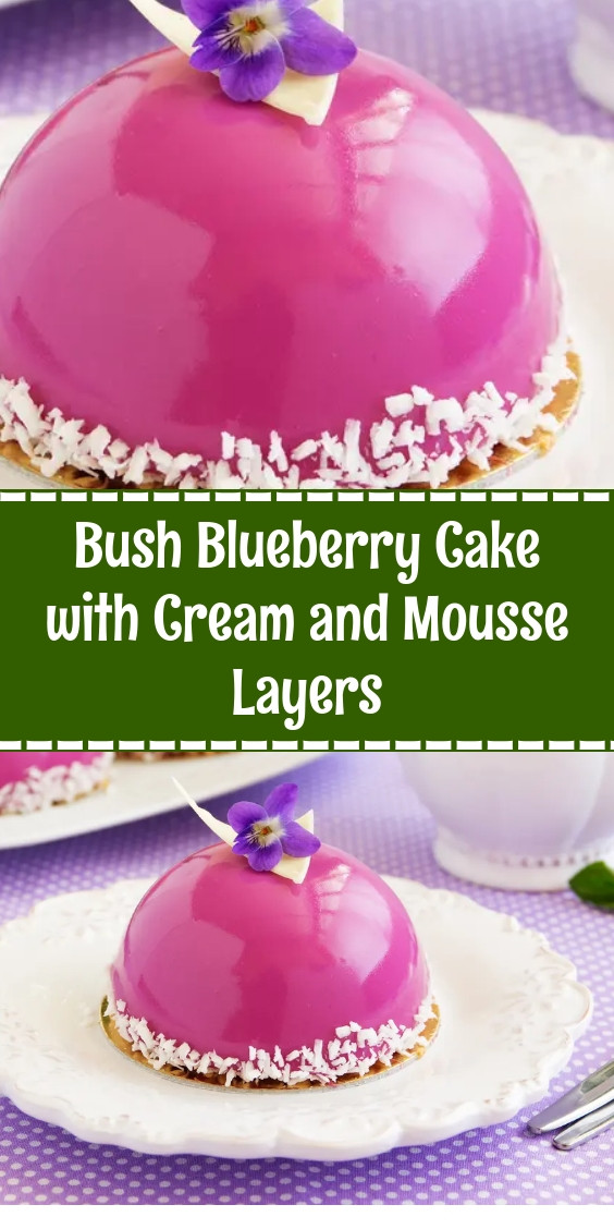 Bush Blueberry Cake with Cream and Mousse Layers