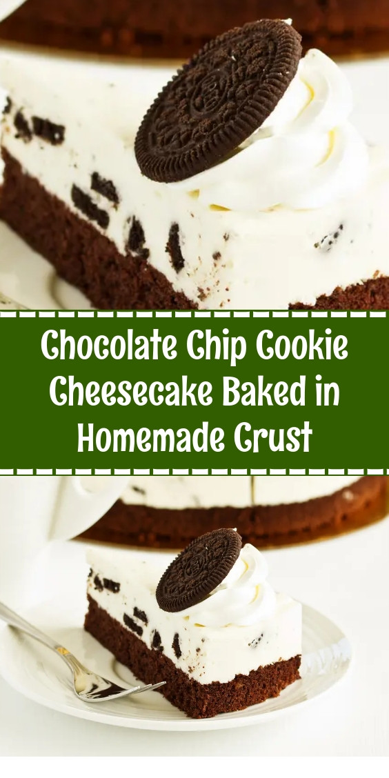 Chocolate Chip Cookie Cheesecake Baked in Homemade Crust