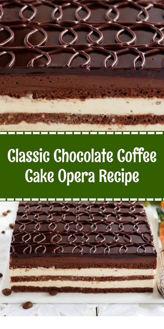 Classic Chocolate Coffee Cake Opera Recipe