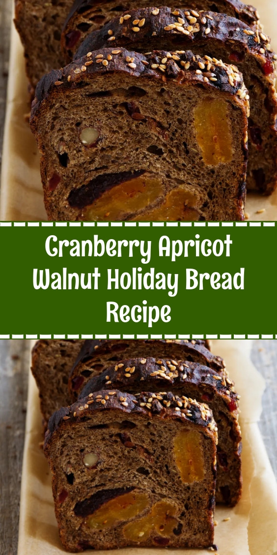Cranberry Apricot Walnut Holiday Bread Recipe