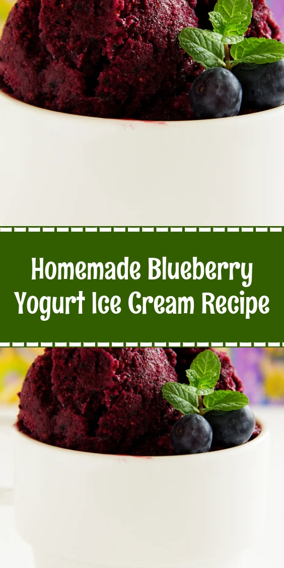 Homemade Blueberry Yogurt Ice Cream Recipe